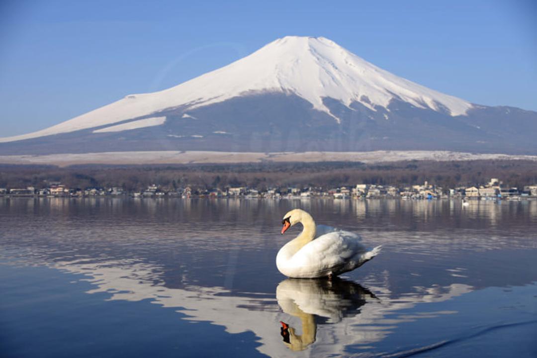 2015-11-mount-fuji-japan3