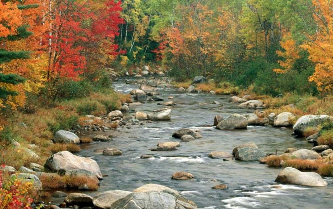 2015-11-new-hampshire-usa