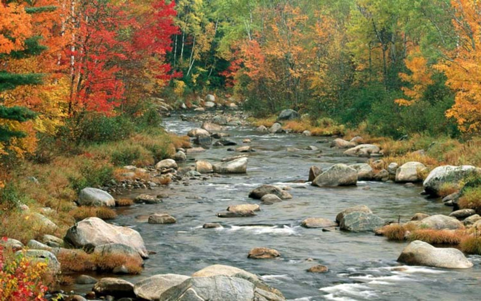 2015-11-new-hampshire-usa