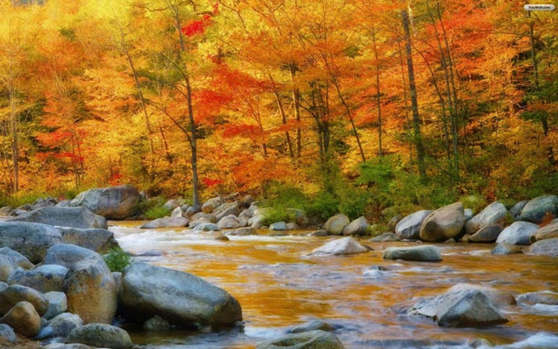2015-11-new-hampshire-usa1