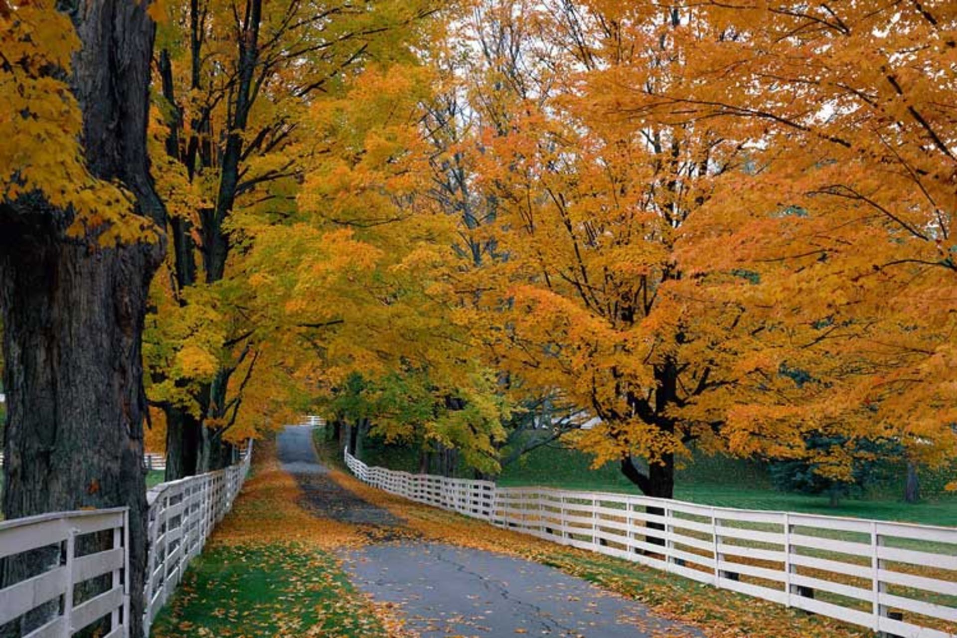 2015-11-new-hampshire-usa4