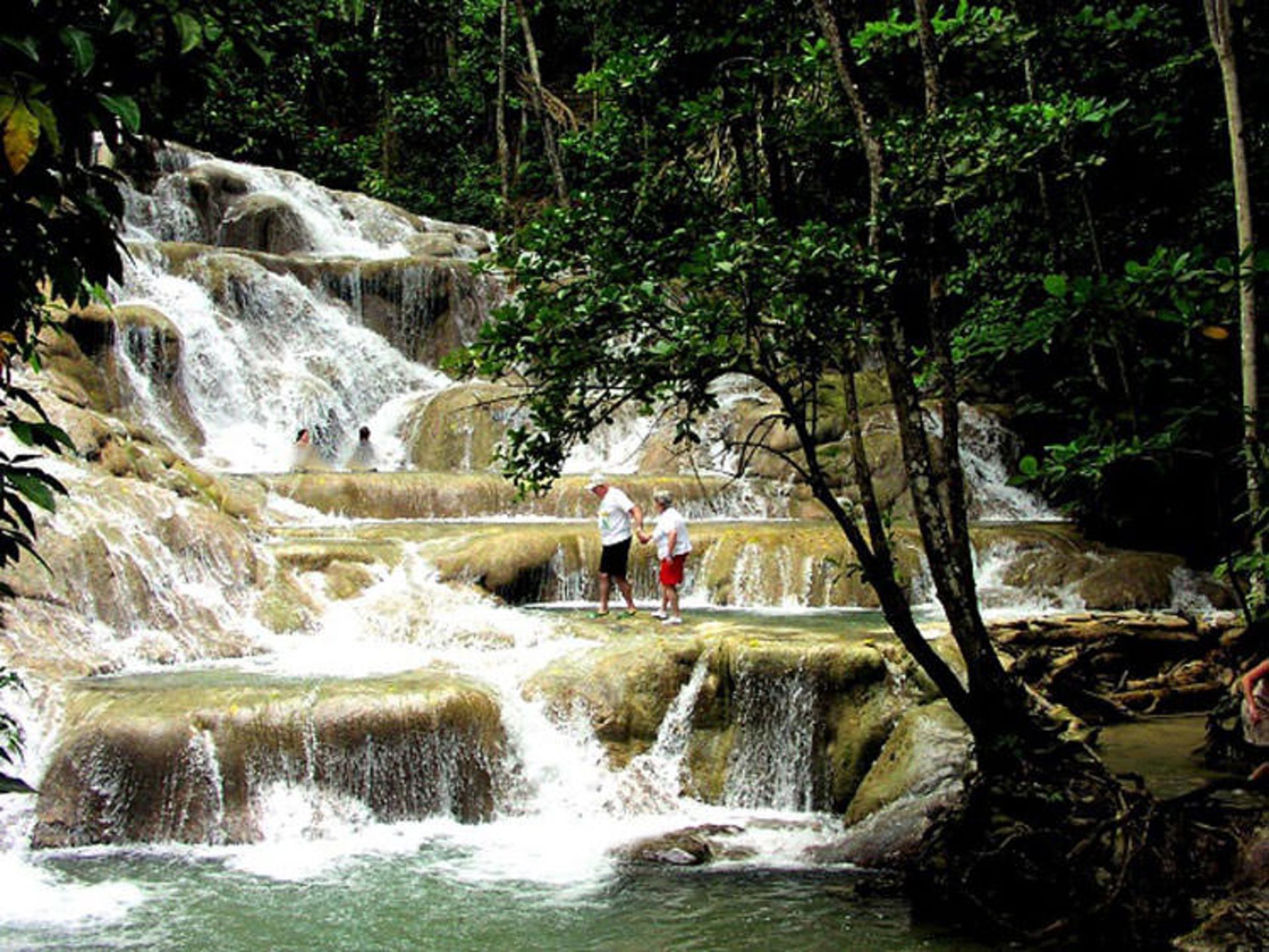 آبشار ocho rios
