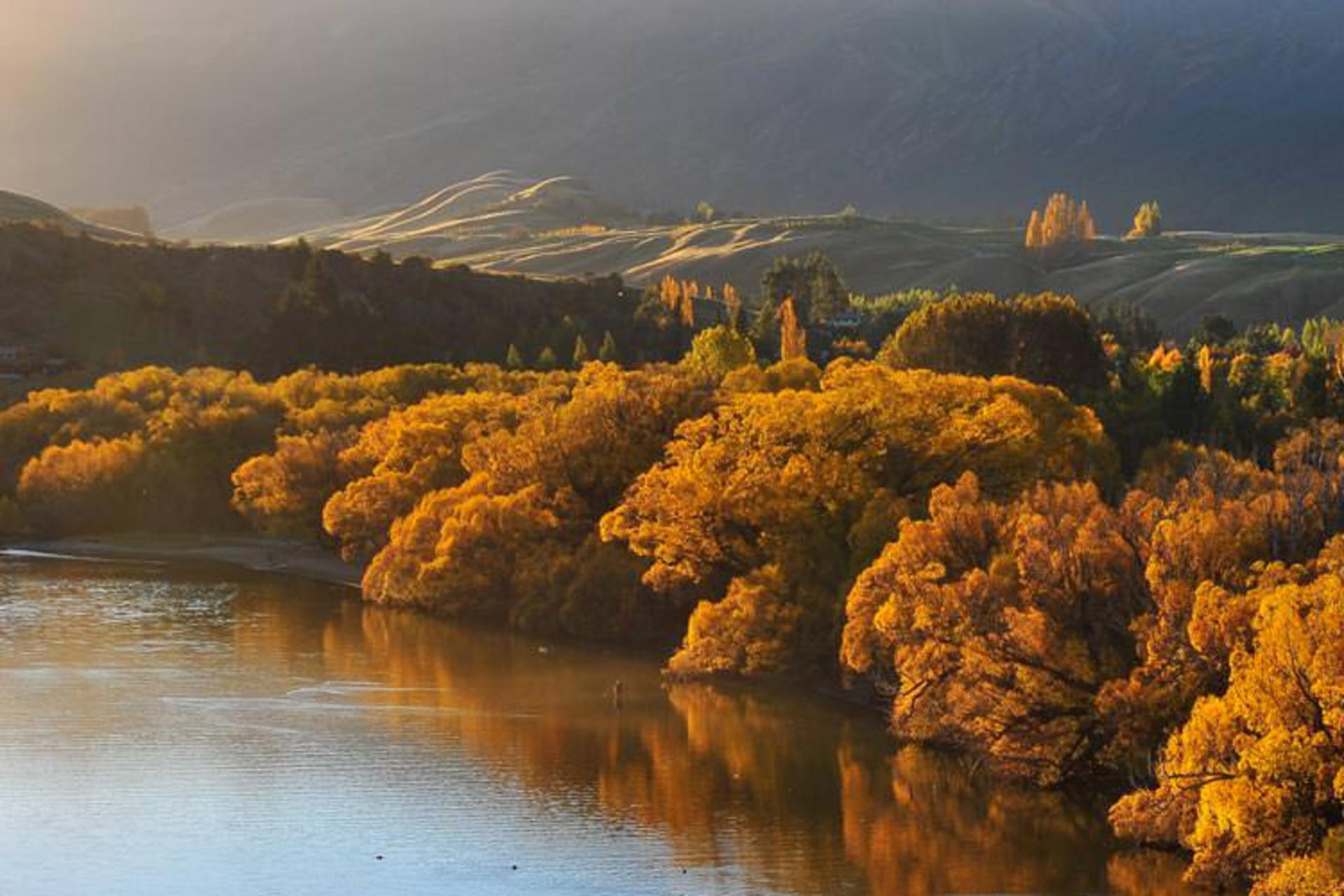 2015-11-otago-new-zealand1