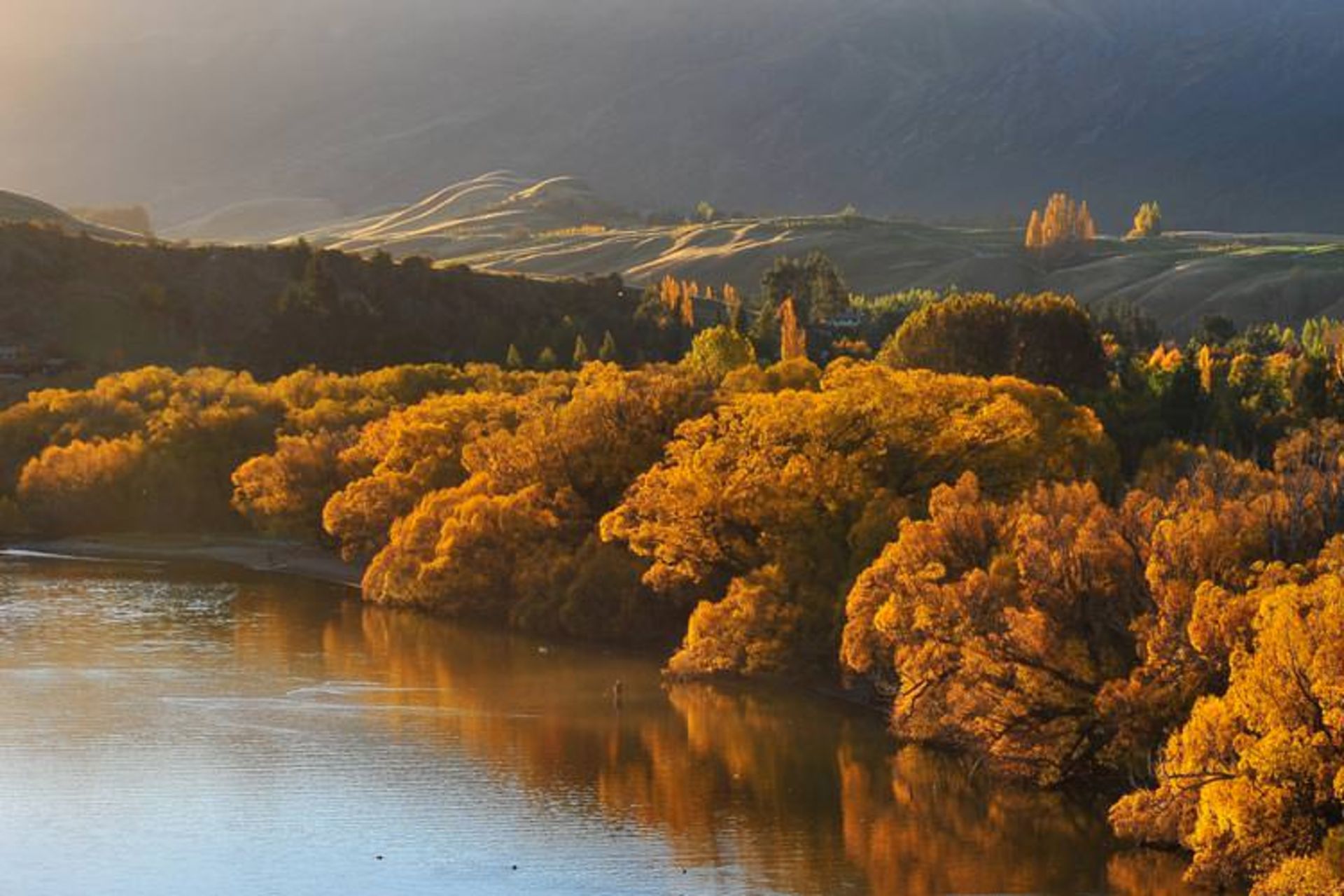 2015-11-otago-new-zealand1