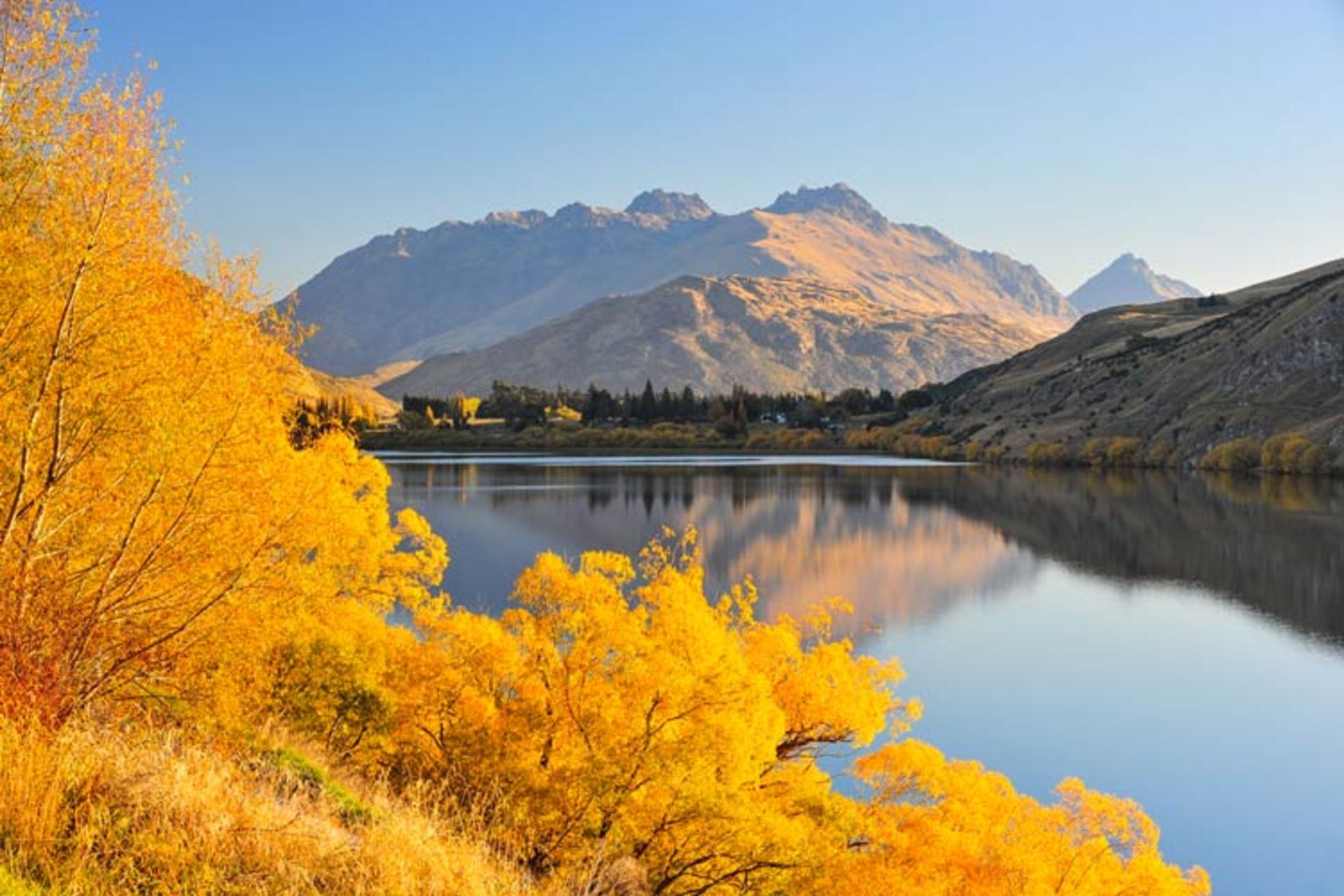 2015-11-otago-new-zealand2