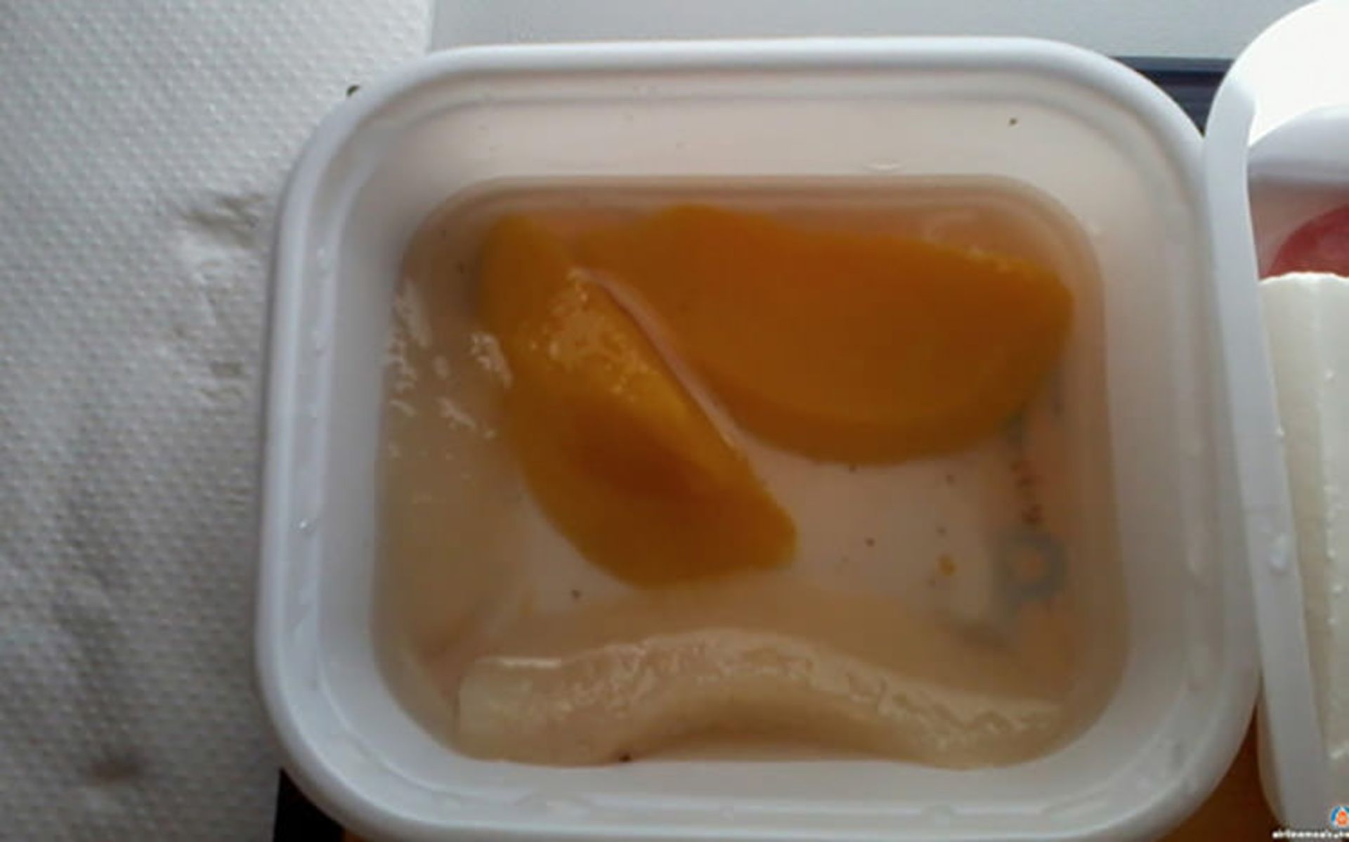 planefood_7