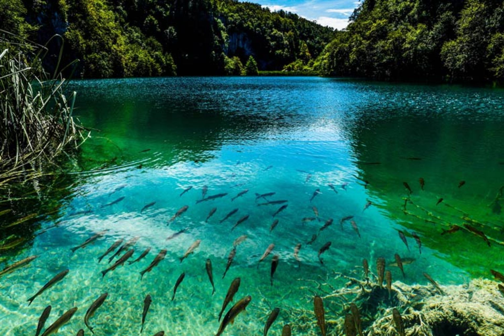 2015-11-plitvice-lakes-national-park2