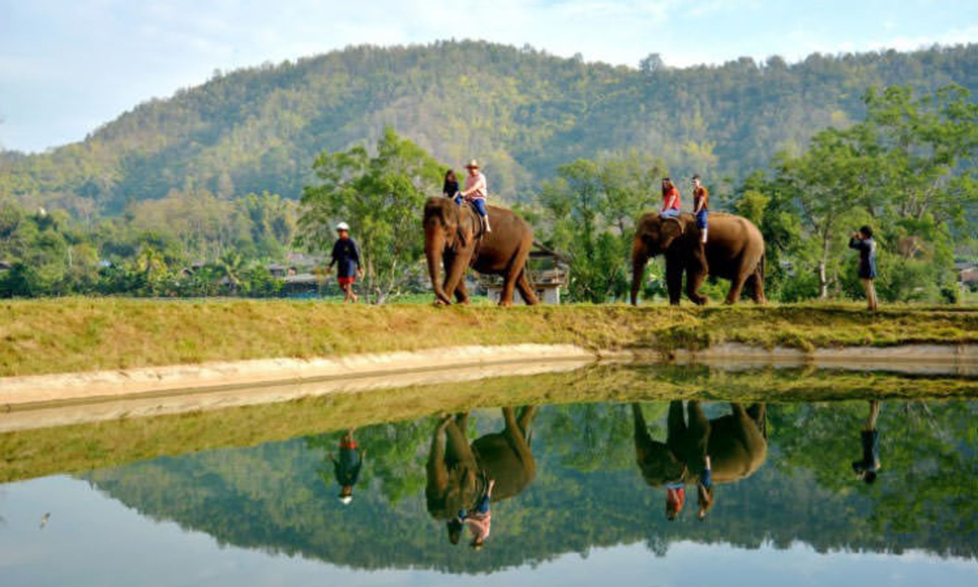 2015-11-ride-an-elephant-1