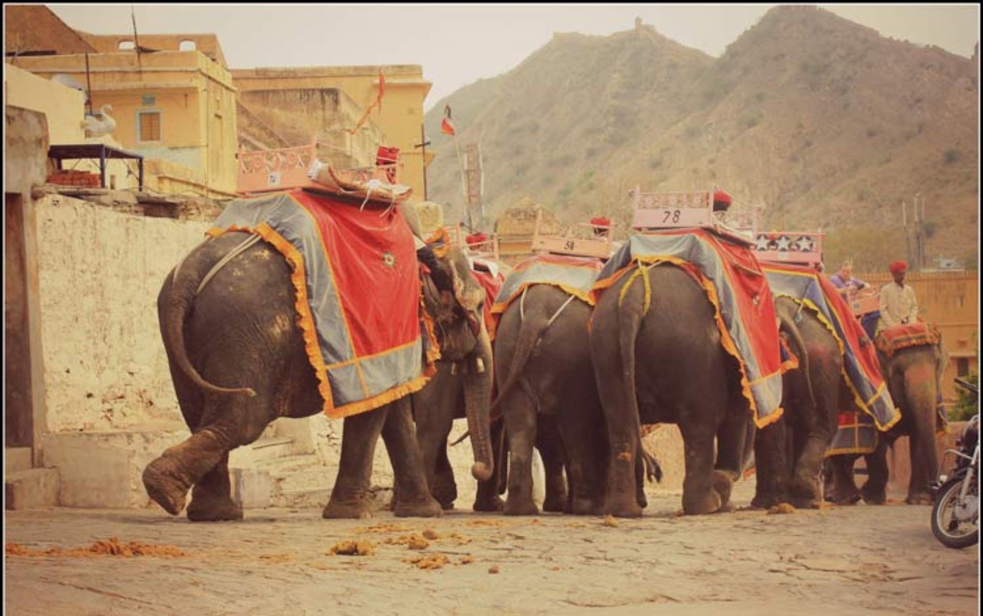 2015-11-ride-an-elephant-5