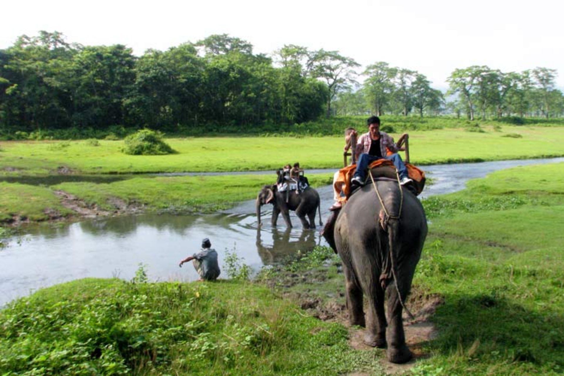 2015-11-ride-an-elephant-6