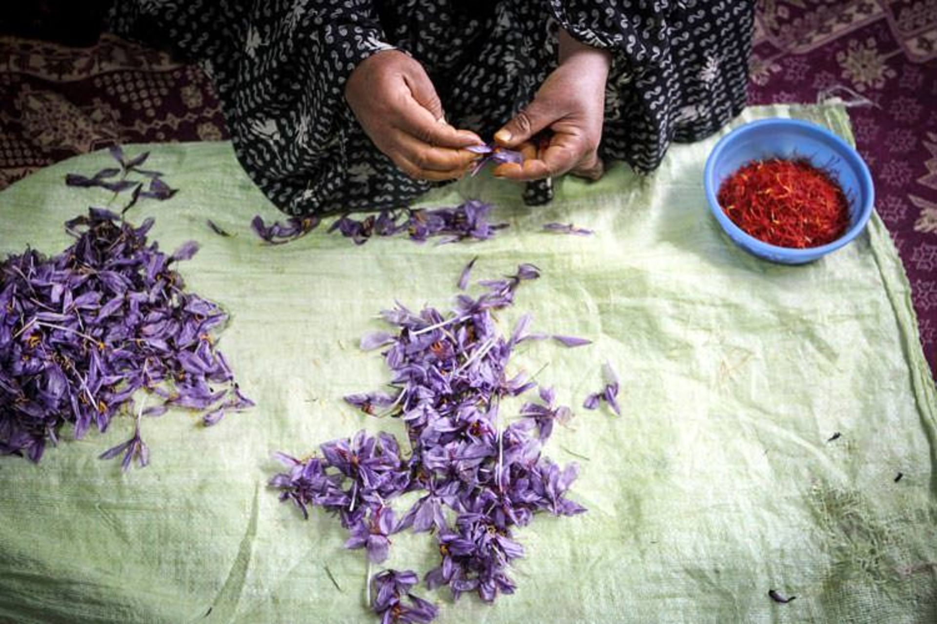 زعفران