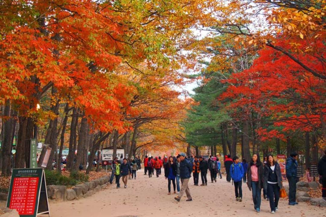 2015-11-seoraksan-national-park-south-korea2