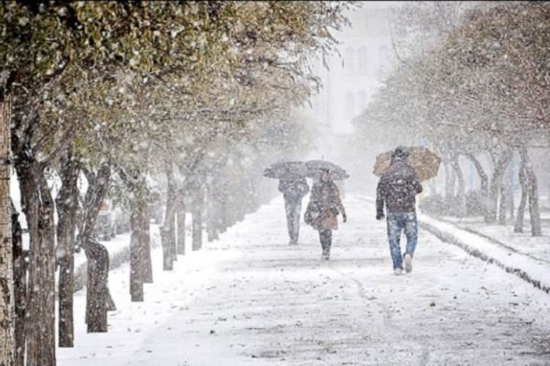 2015-11-tabriz