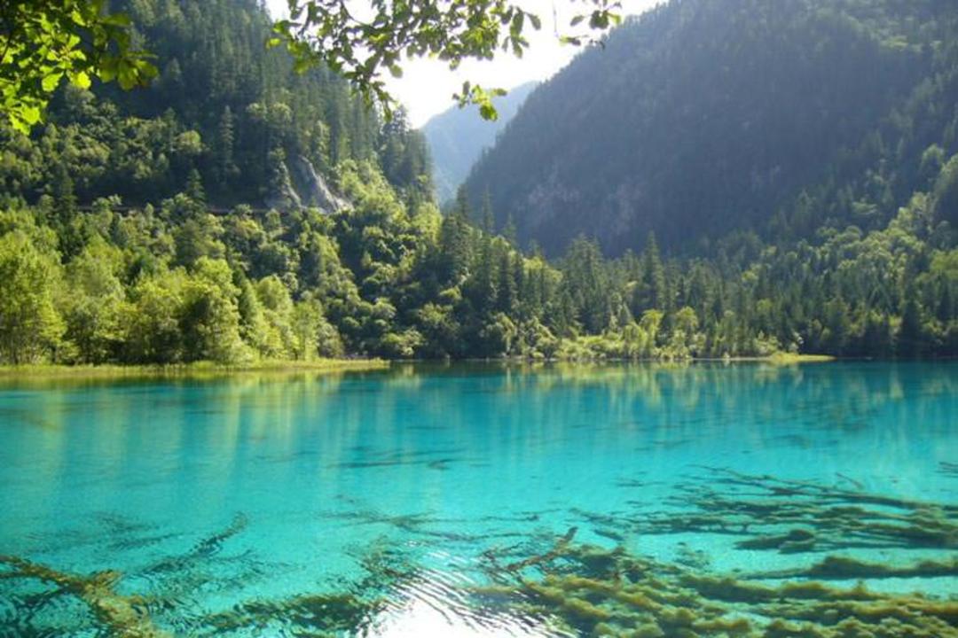 2015-11-the-blue-lake-new-zealand1