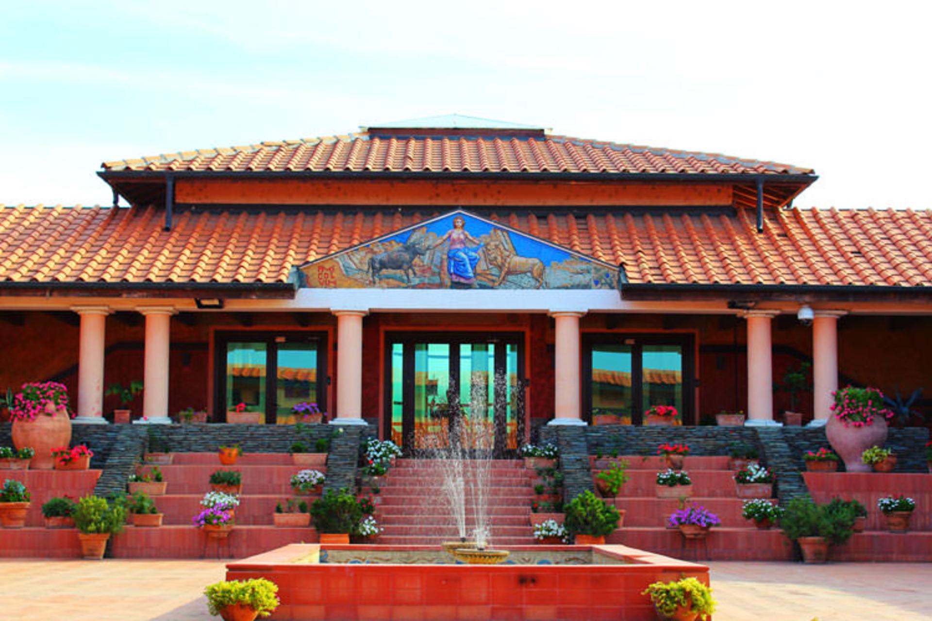 2015-11-viminacium