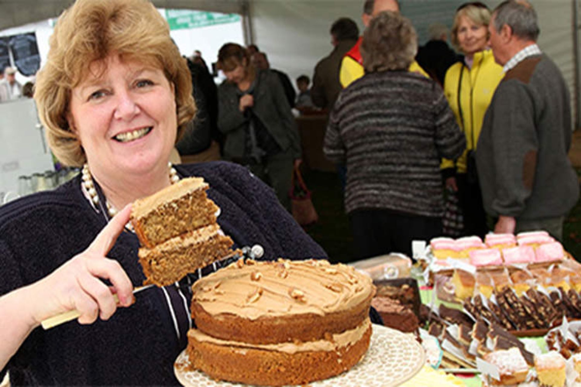 2015-11-waveney-valley-food-and-drink-festival-suffolk-5902