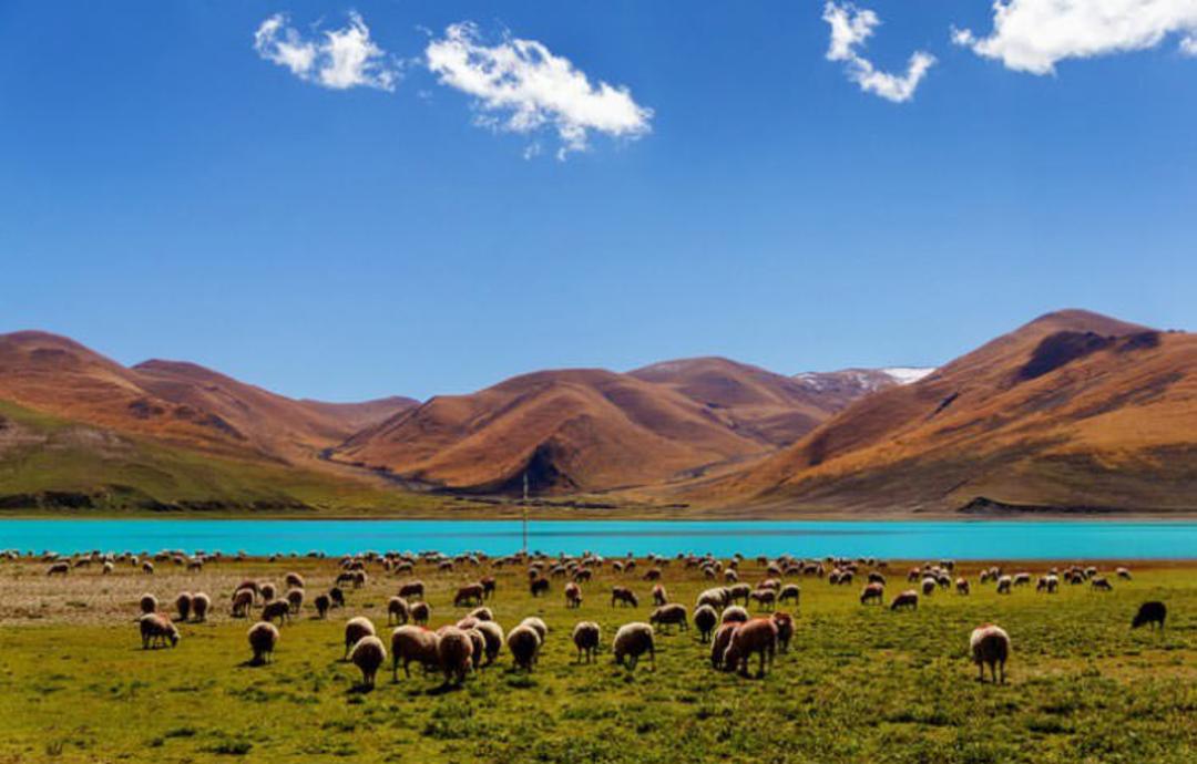 2015-11-yamdrok-lake-tibet6