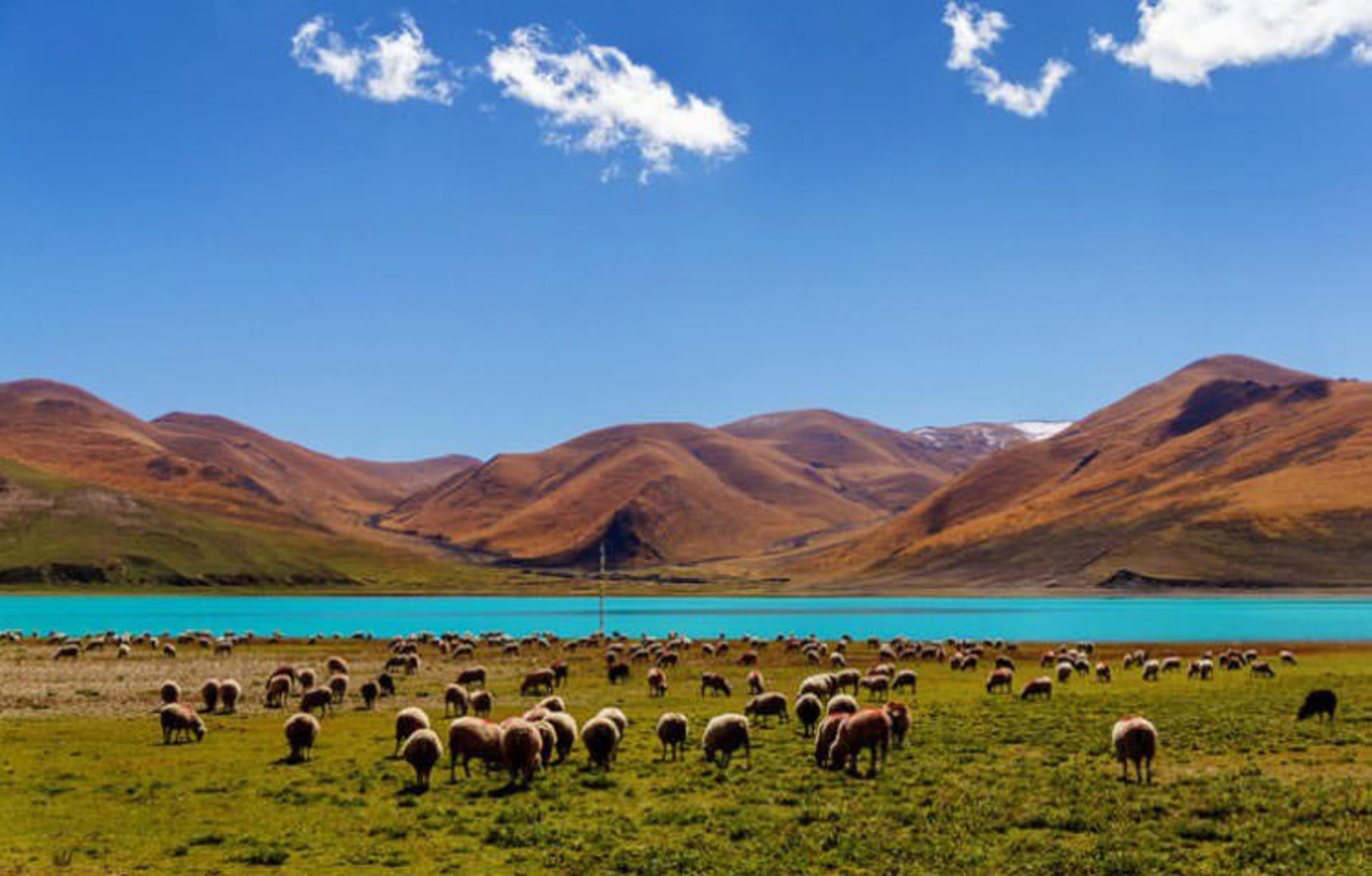2015-11-yamdrok-lake-tibet6