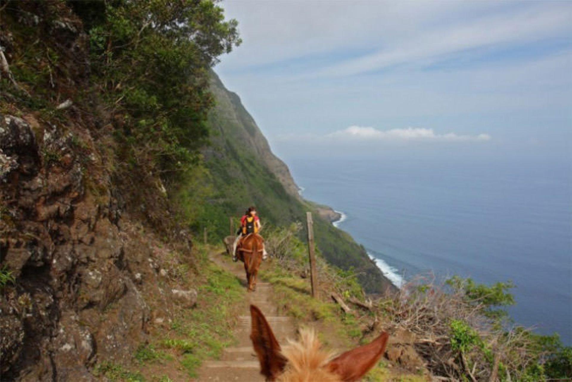 2015-12-059b2944-06cc-4a94-97ff-f9869f40d028-molokai-cliff1
