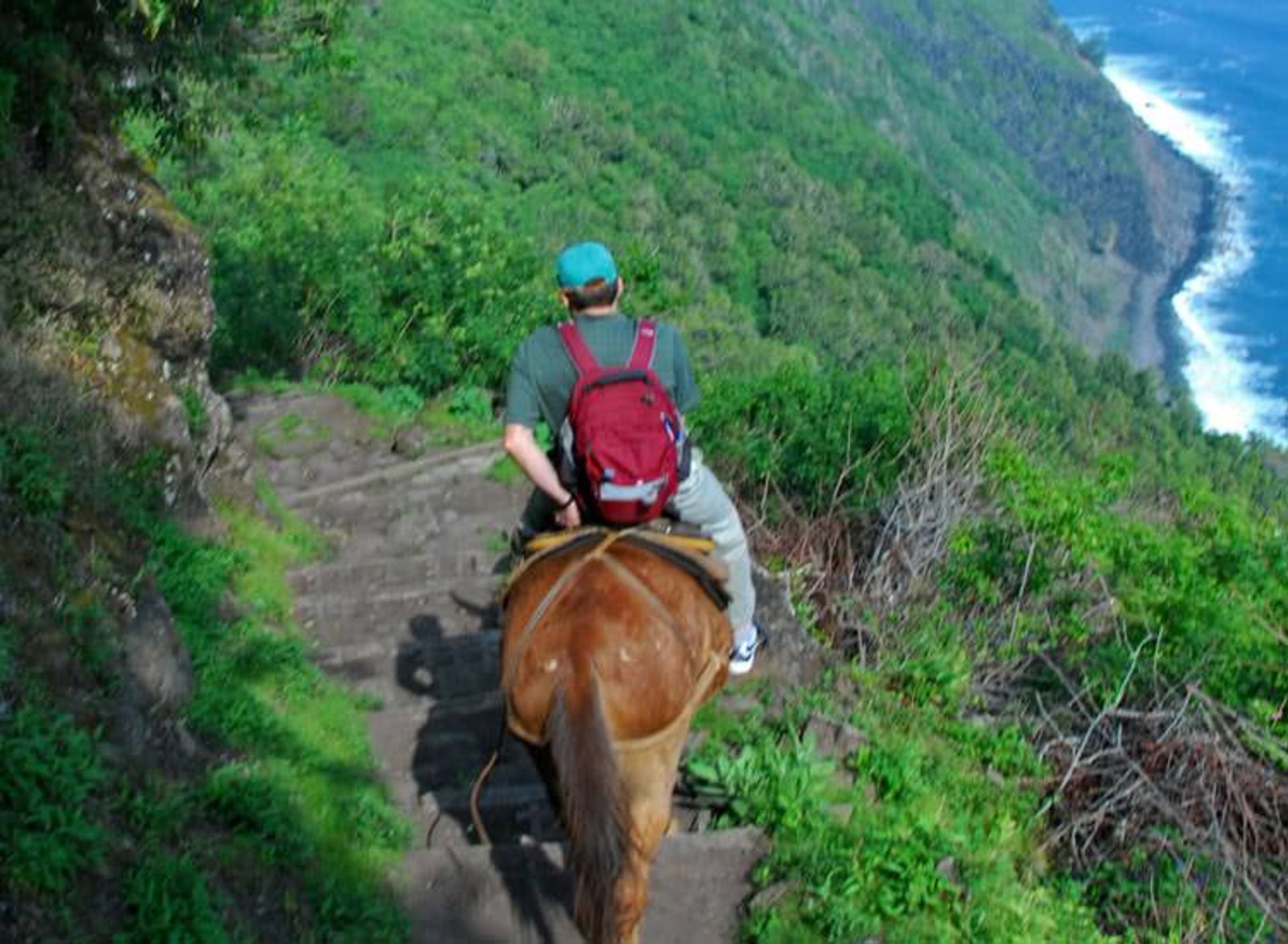 2015-12-09ee01e6-be47-44b1-93b3-c9de3291ddf0-molokai-cliff3