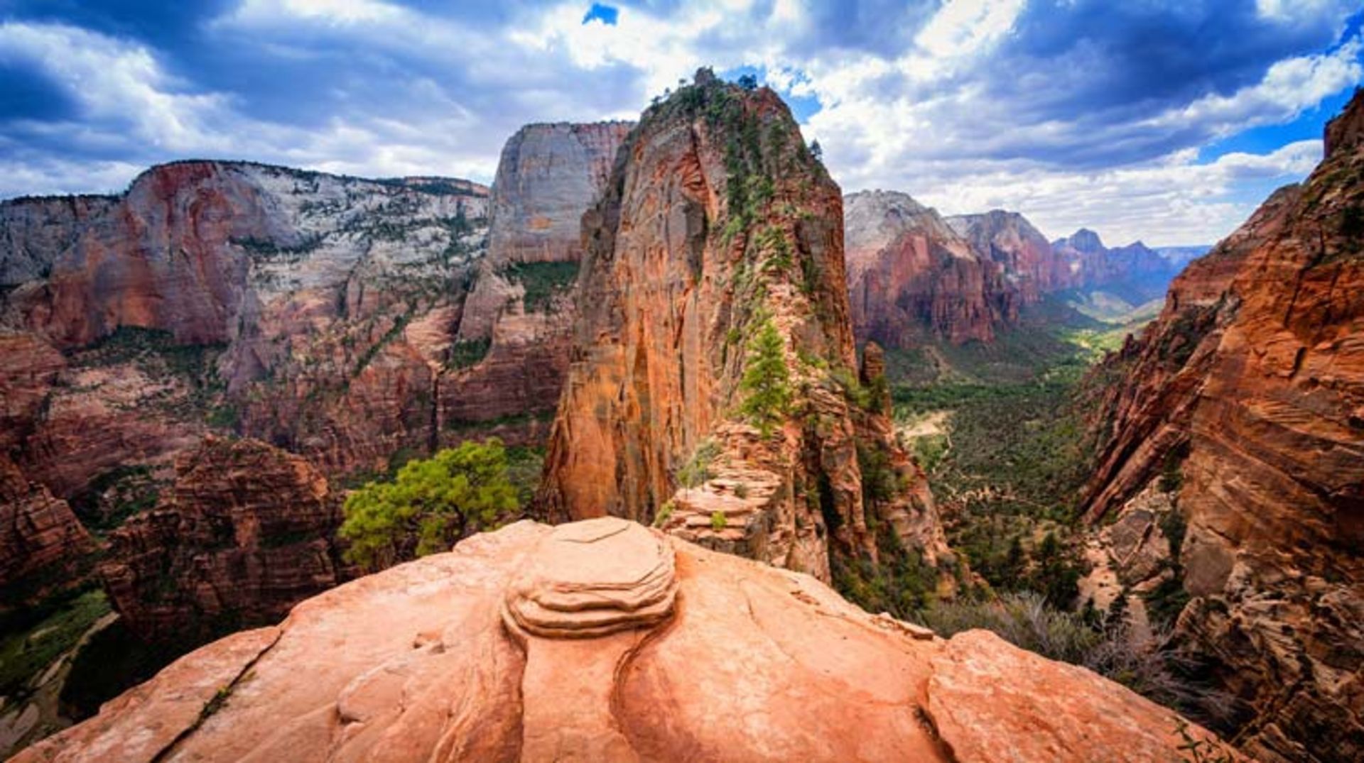 2015-12-0c6b9c37-06ec-4851-86d2-1efa3064dd2d-zion-national-park-in-utah1