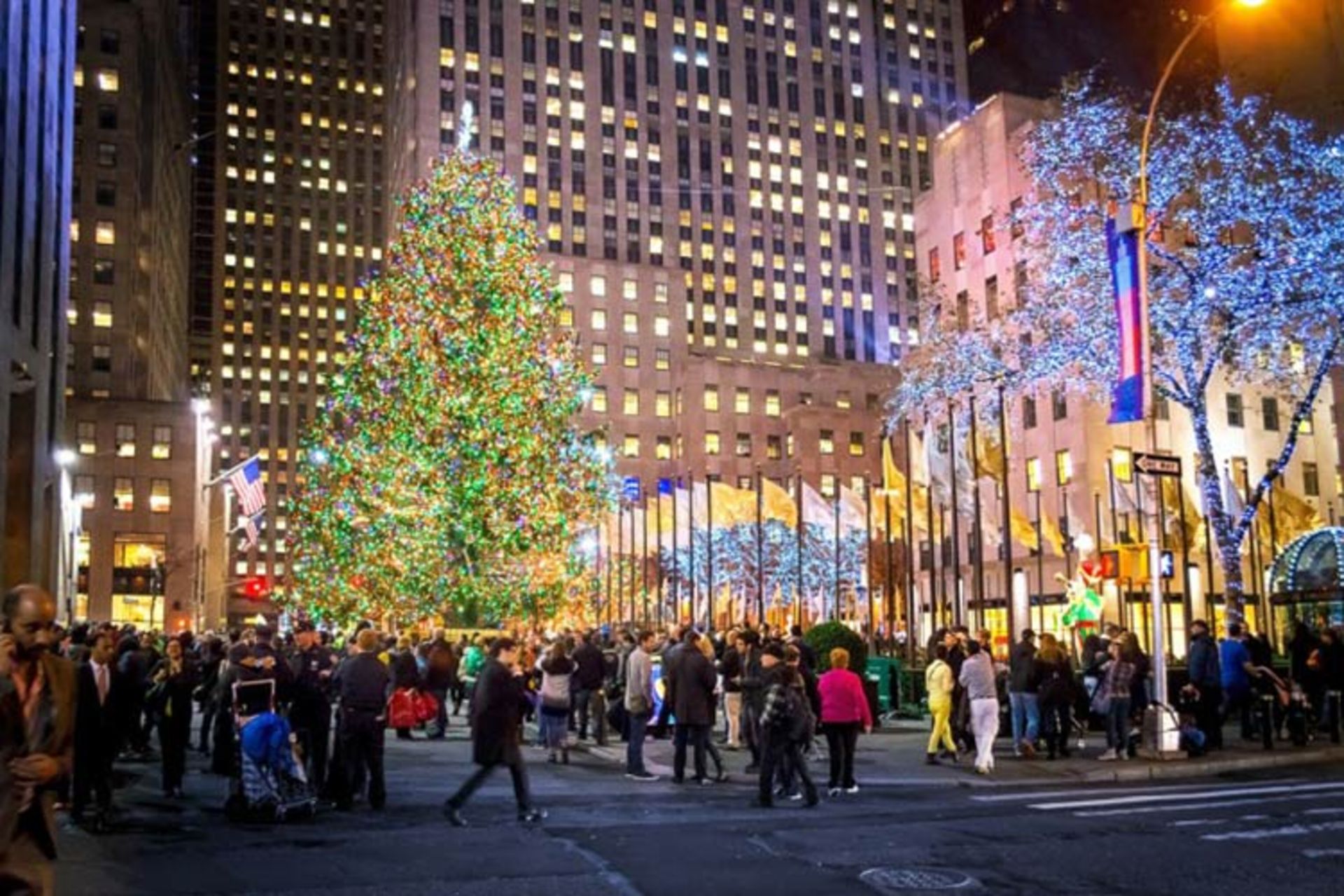 2015-12-0d07ed21-b127-4ed2-89e5-4e3ea82d4576-nyc1-740x493