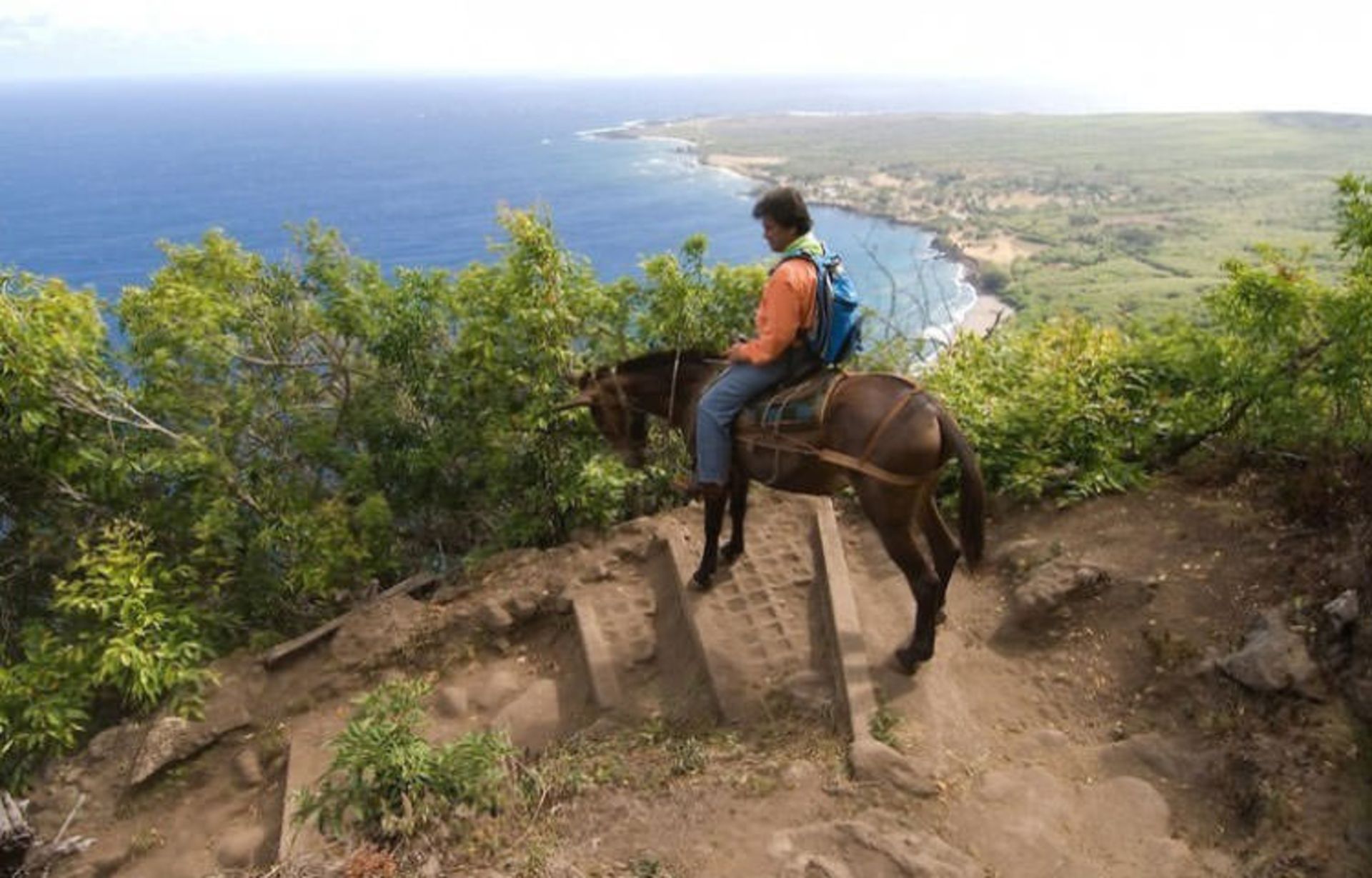 2015-12-0ec806c4-cb4c-45ba-aaaa-07a8c13bc561-molokai-cliffs