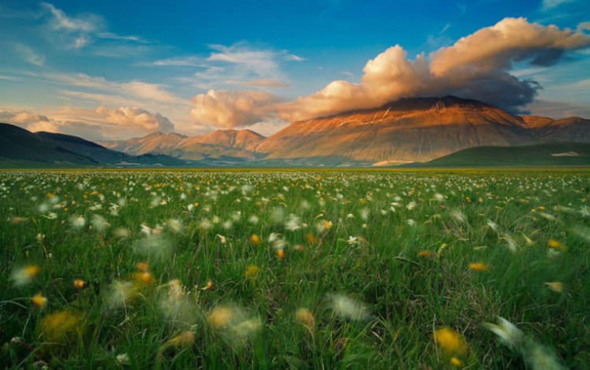 2015-12-10dbe678-10bb-49c3-8fea-485456726873-castelluccio