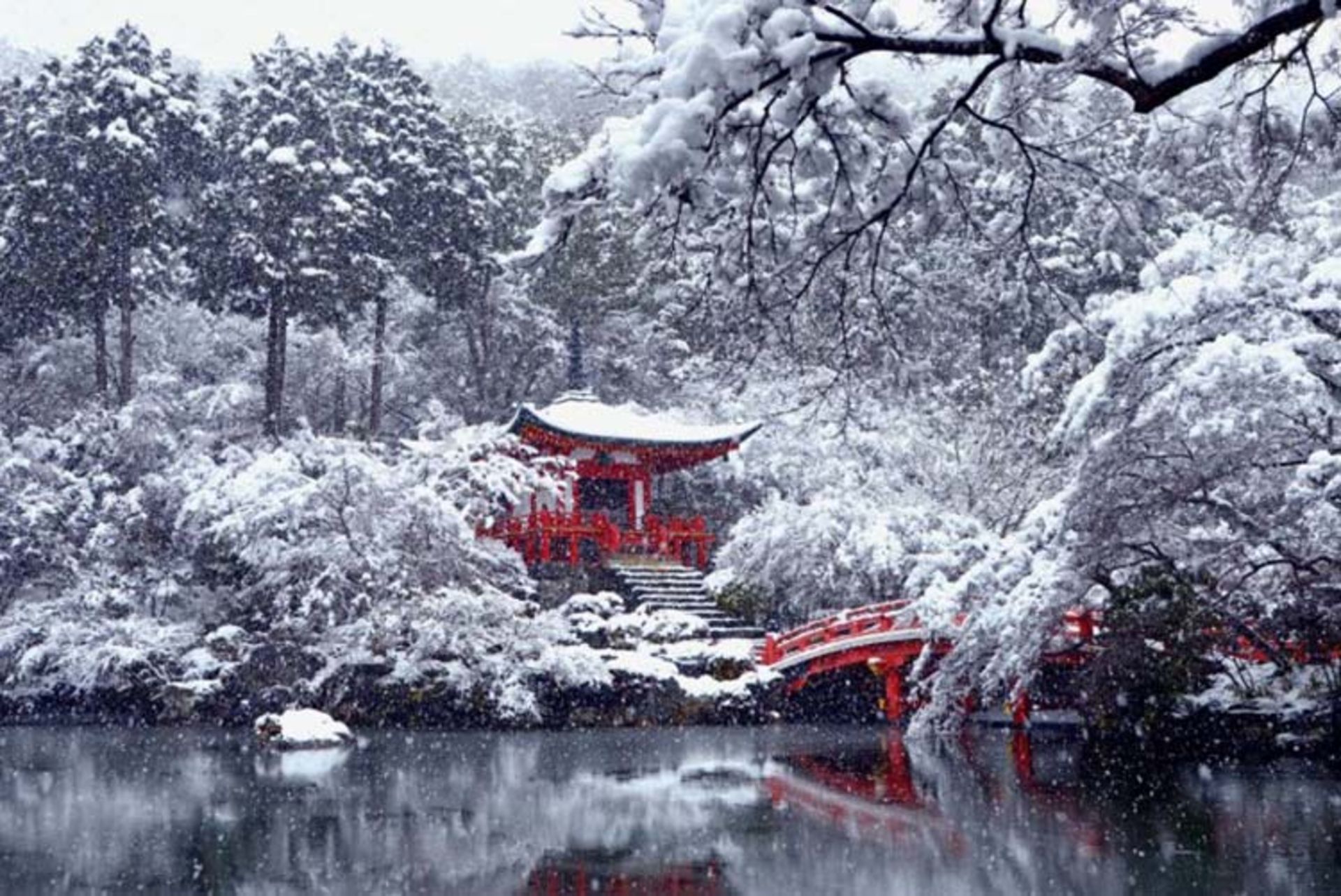 2015-12-19503ff1-450e-4519-9635-86549f341dfa-kyoto2-740x494