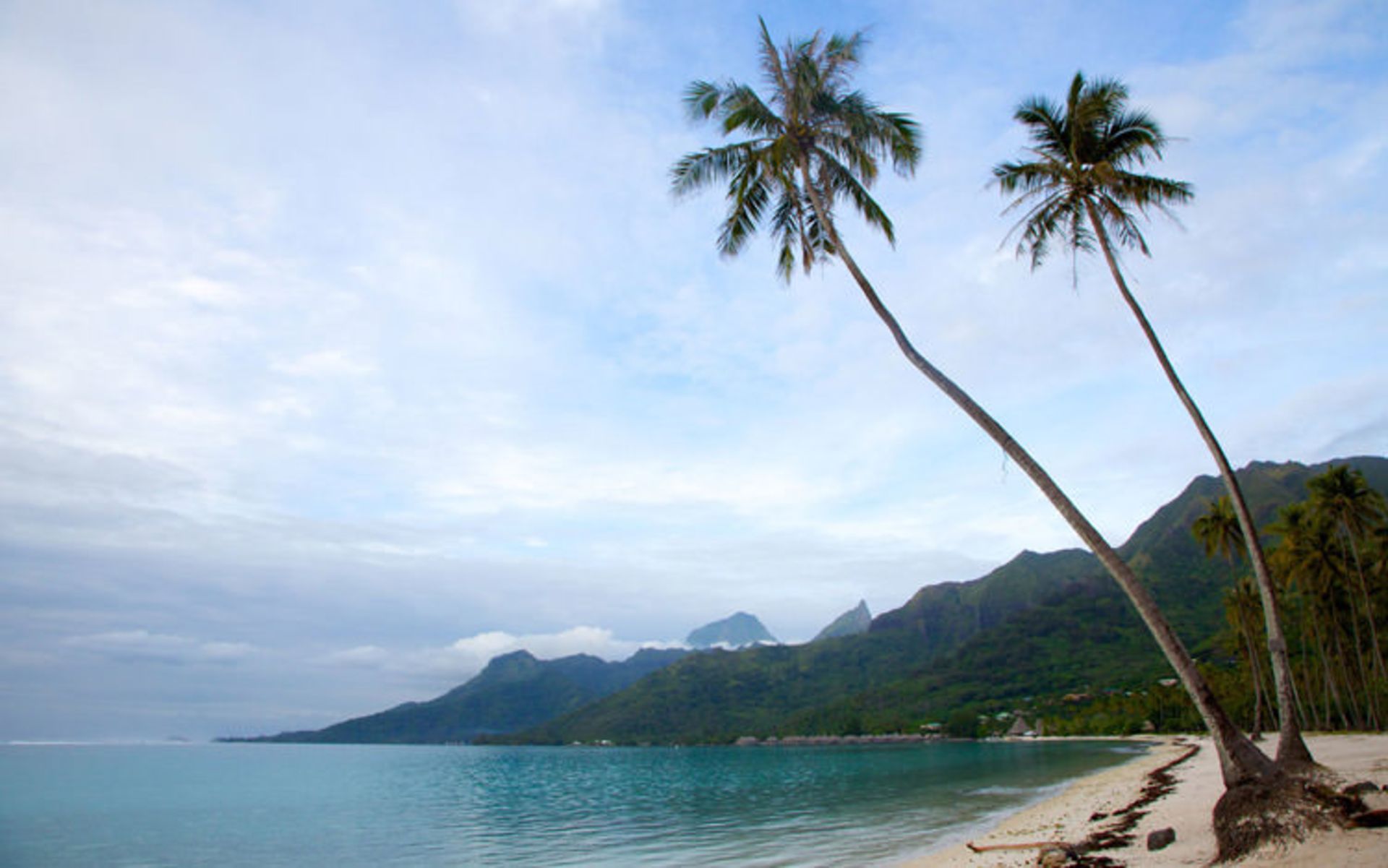 ساحل moorea