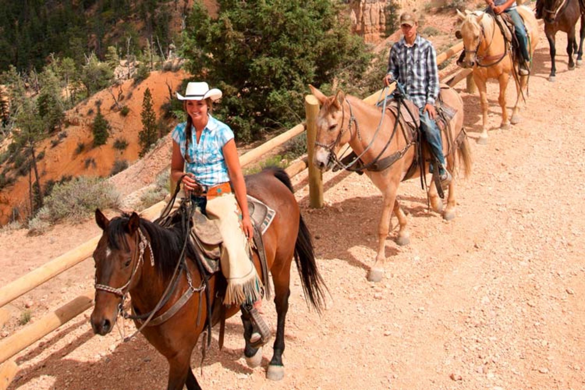 2015-12-2781b3f2-17c2-4abe-a012-7e265cfb5b80-zion-national-park-in-utah4