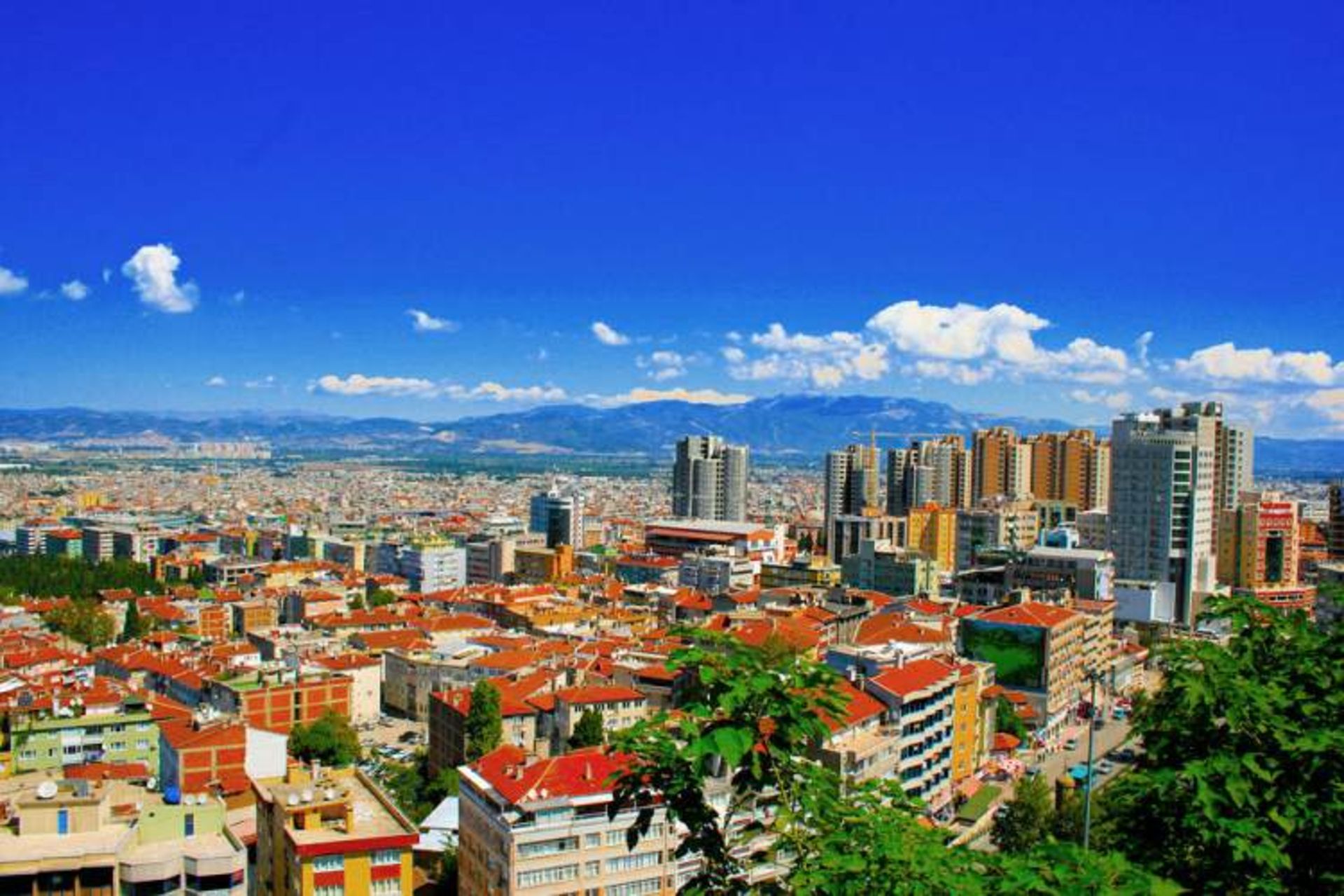 2015-12-27d21ce6-332c-4f2a-a925-bfbb0e5caf7c-bursa2