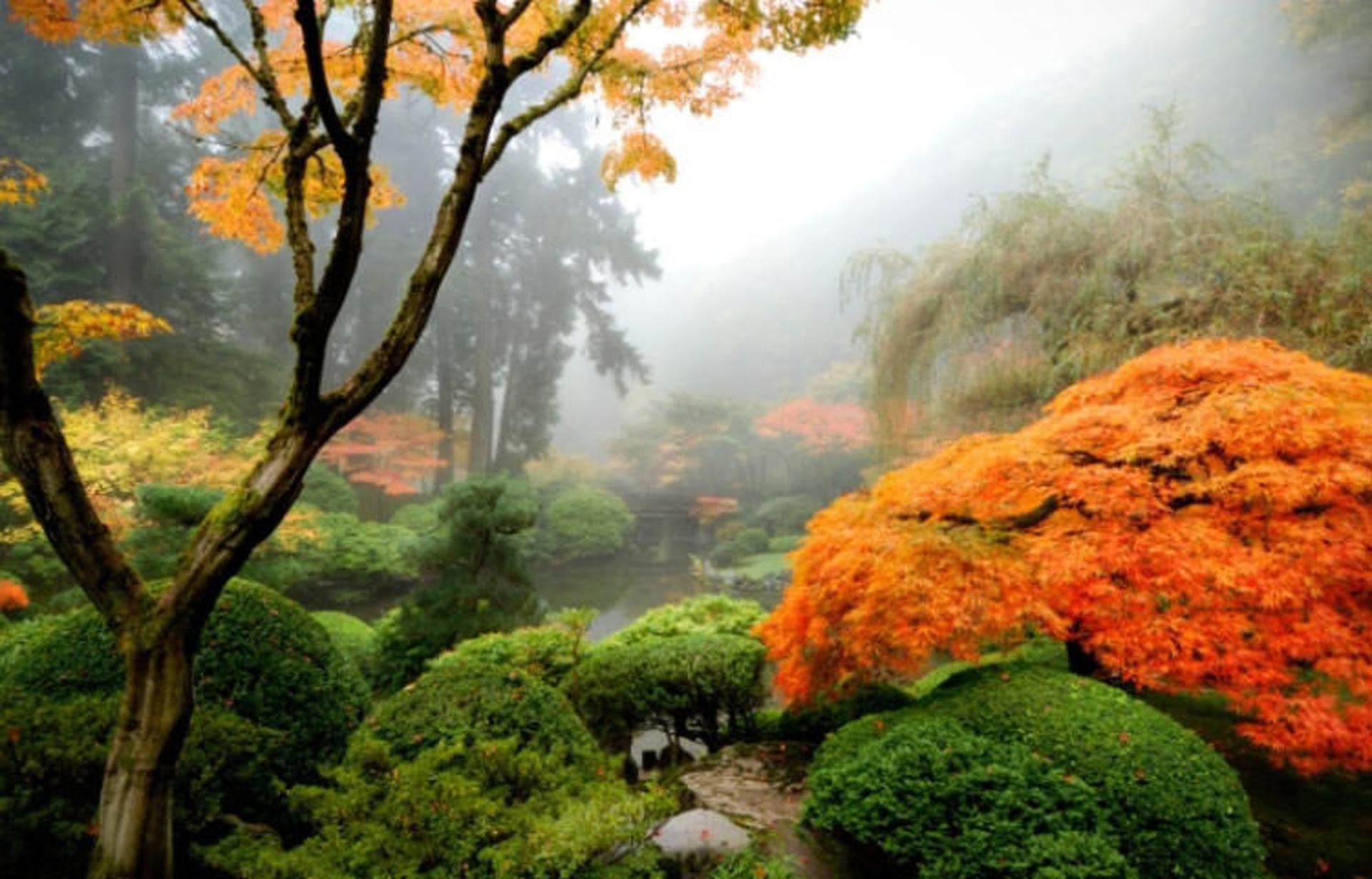 2015-12-2adc3031-a1b3-482d-a46b-395e1f6e88e7-portland--japanese--garden-portland-oregon--usa-1