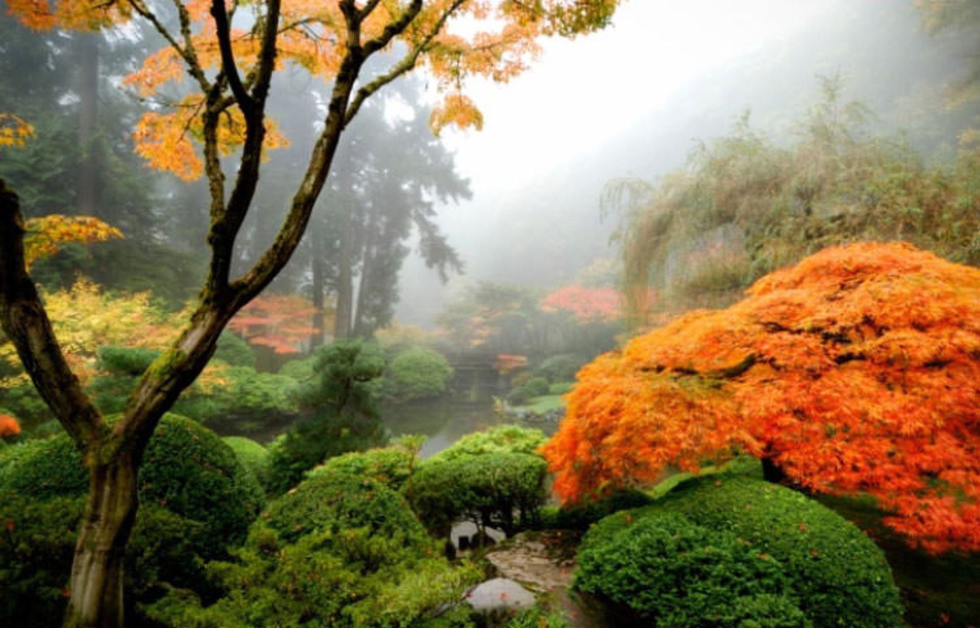 2015-12-2adc3031-a1b3-482d-a46b-395e1f6e88e7-portland--japanese--garden-portland-oregon--usa-1