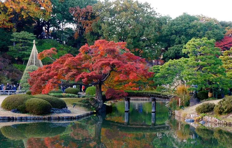 2015-12-378bdb91-8b3f-48d4-8a1e-5f2841205687-rikugien--garden-tokyo-japan-2