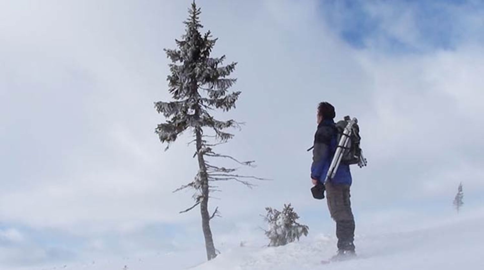 2015-12-41aa7e17-71a3-45bd-a5d6-40415b30501d-oldest-tree-old-tjikko-sweden-225