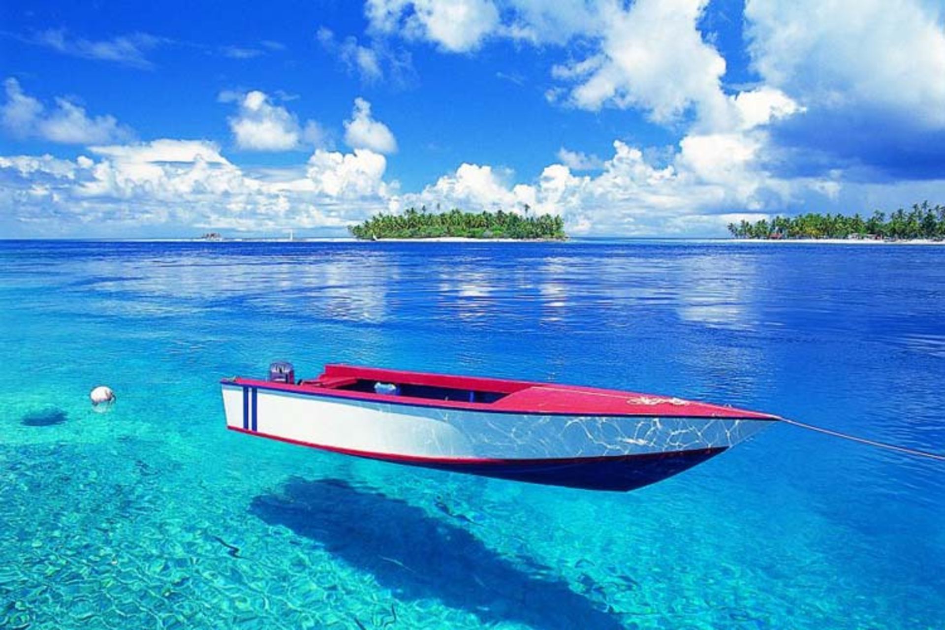2015-12-4ed830d2-e013-4d92-b237-33ca9a377e13-french-polynesia_fo-k6ko_dx-news