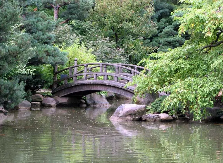 2015-12-50ce5324-2404-47bb-a12d-058cdd844ff7-anderson--japanese--gardens--rockford--illinois-usa-3