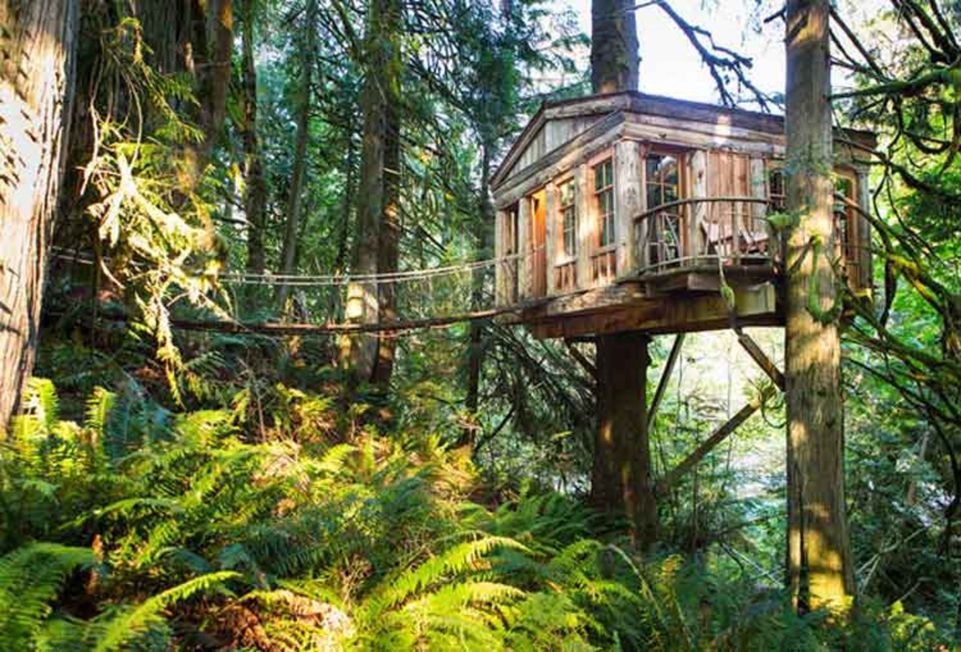 Inkaterra Canopy Tree House, Tambopata, Peru