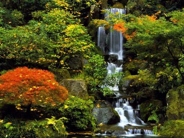 2015-12-99617f78-9818-429a-8e62-062eb6a0fefe-portland--japanese--garden-portland-oregon--usa-2