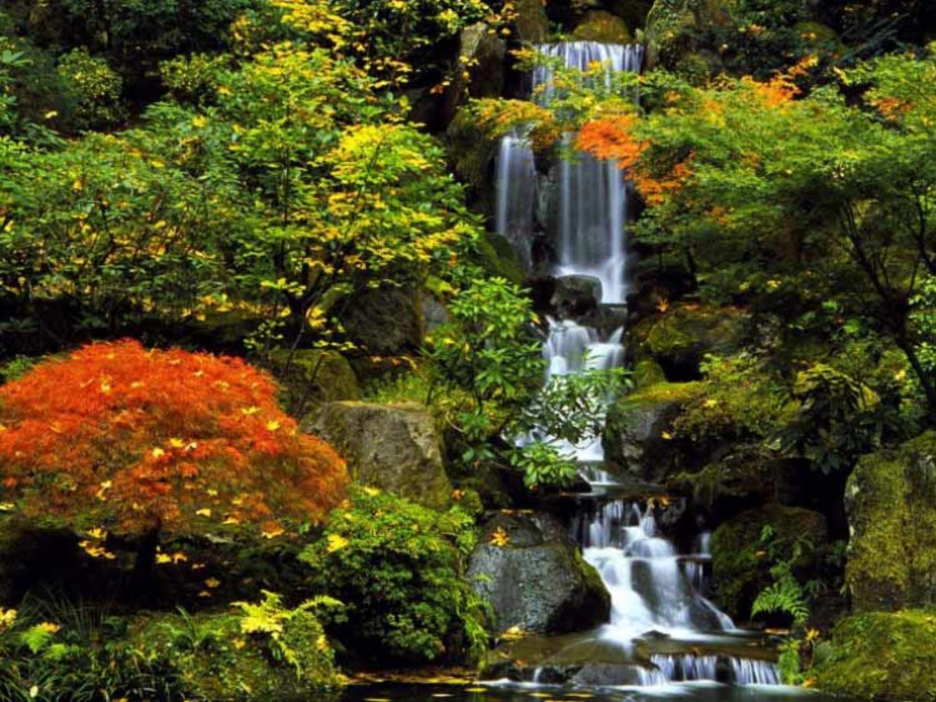 2015-12-99617f78-9818-429a-8e62-062eb6a0fefe-portland--japanese--garden-portland-oregon--usa-2