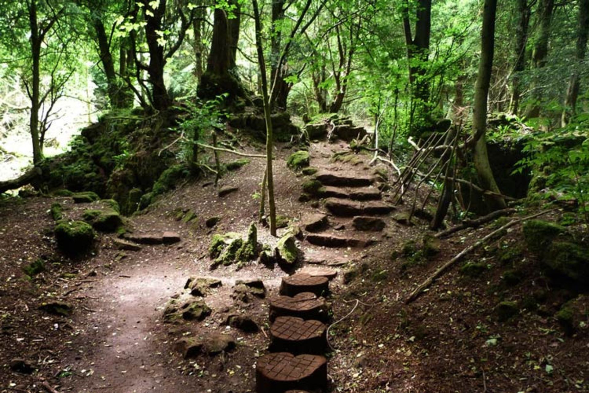 2015-12-9a0b9f6c-8d1f-4d02-9e8a-11c3a36a06d3-puzzlewood-4656