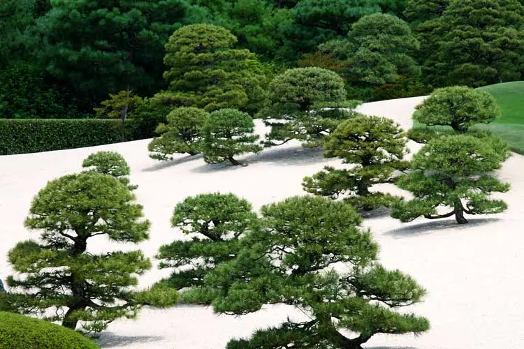 2015-12-afdf8051-7f78-4349-9ea7-53cbeb3d349d-adachi--museum--of--art--yasugi-japan-3