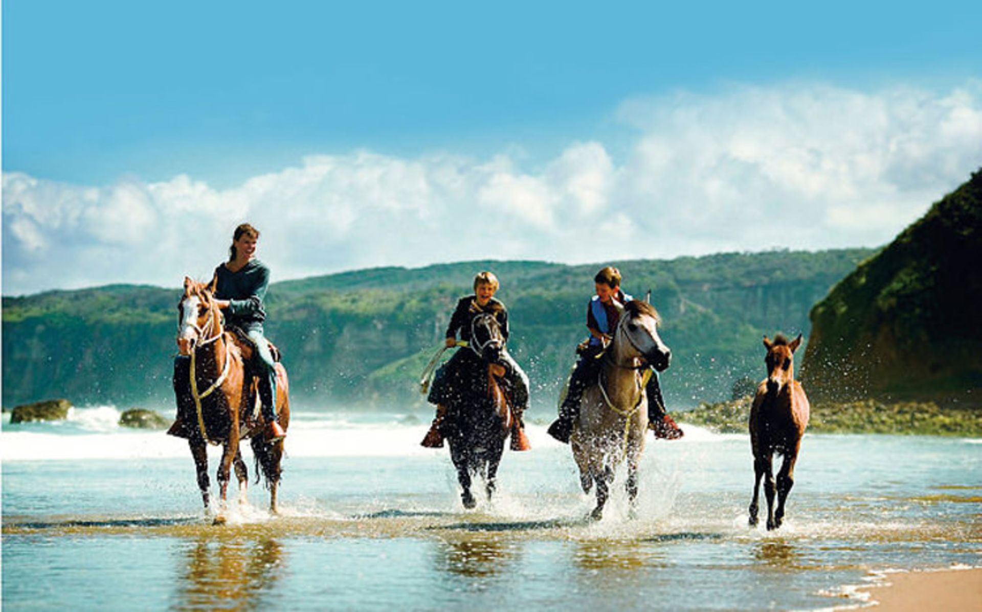 2015-12-argentina-horse