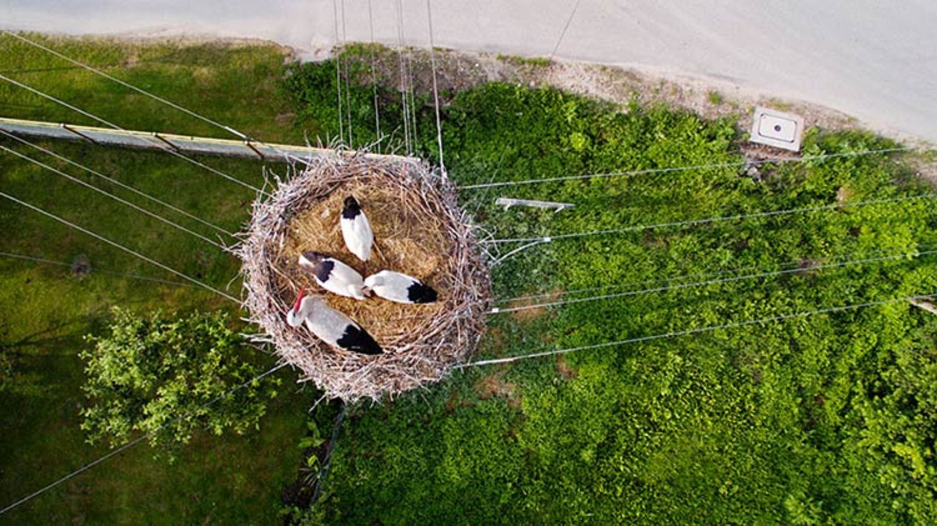 2015-12-b447031d-9921-4a78-9d05-abc0a4d312eb-best-drone-photos-2015-dronestagram-eric-dupin-32__880