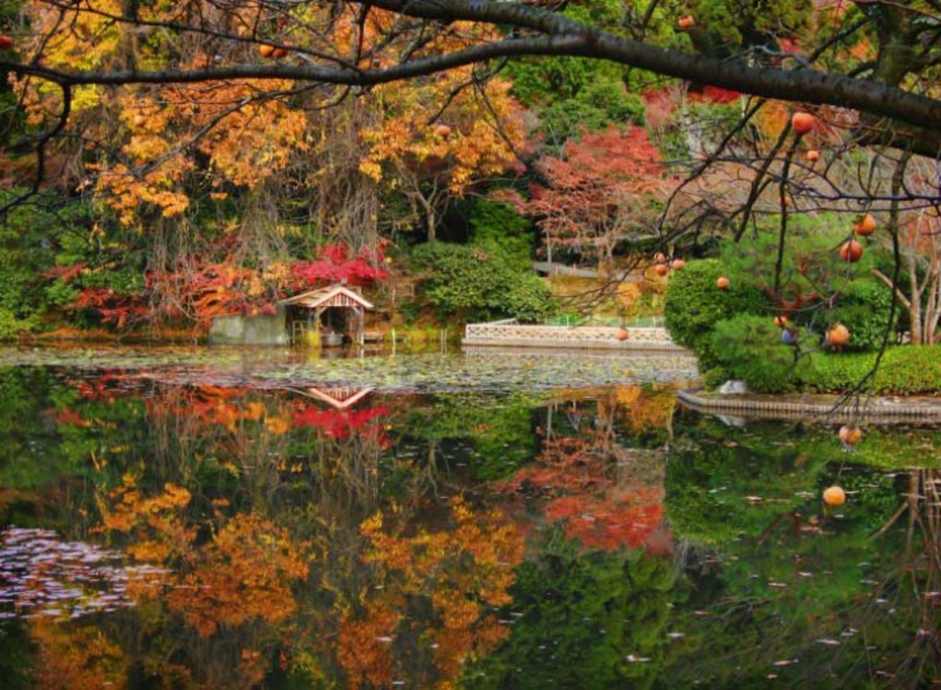 2015-12-b59cb605-6b4c-49ac-9a50-6dee8b72d2b8-ryoanji-photo-by-alexbrn-2