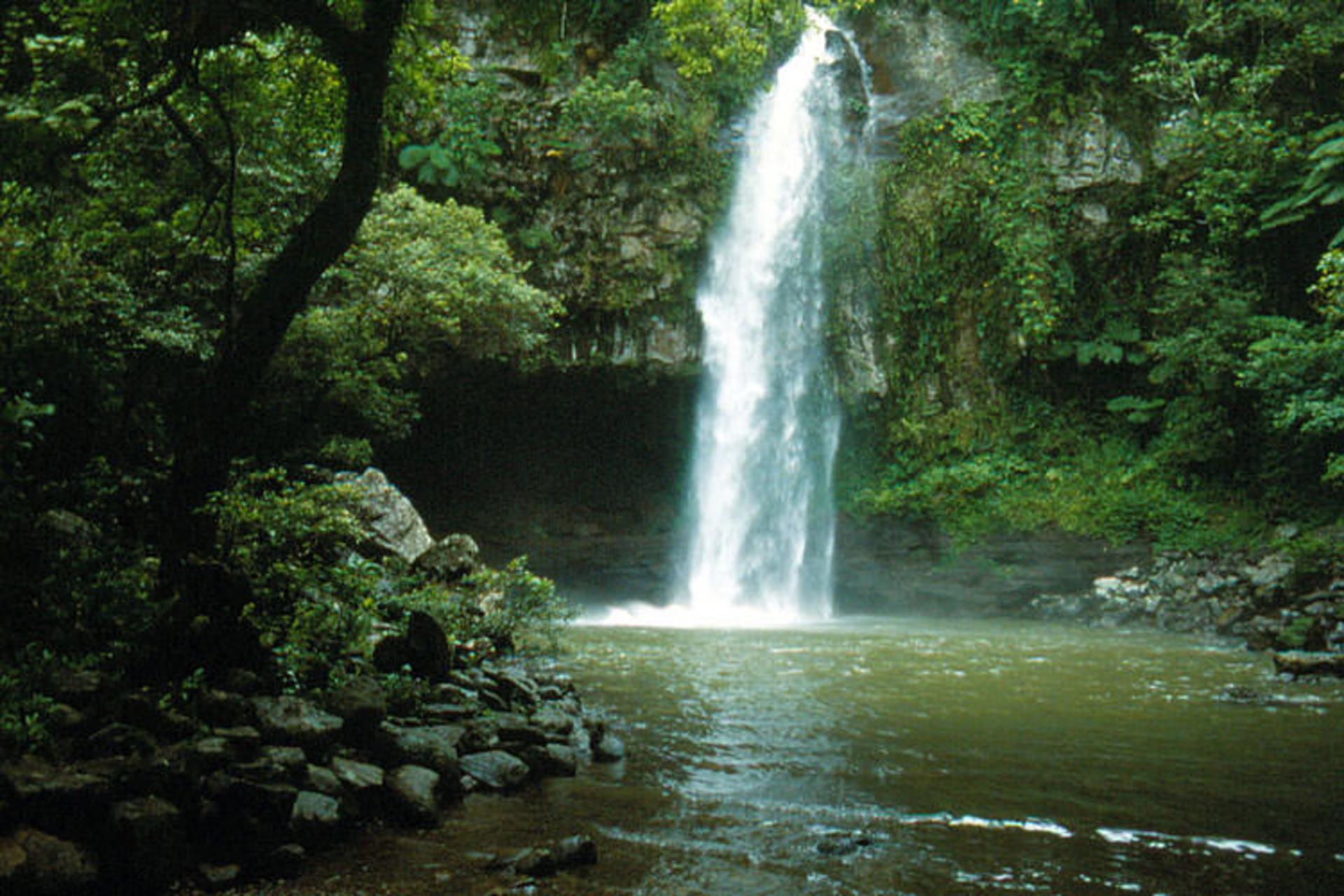 2015-12-bouma-national-heritage-park