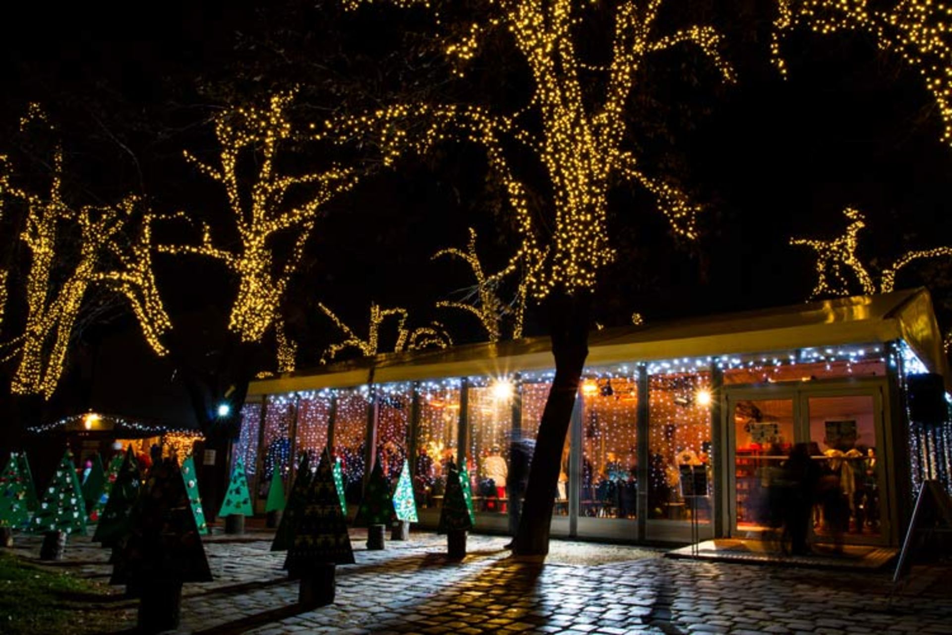 2015-12-budapest-hungary-3