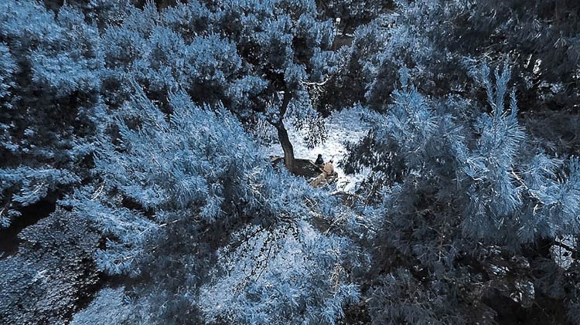 2015-12-c5126b28-0138-4ef0-a4da-e5303020e85a-best-drone-photos-2015-dronestagram-eric-dupin-38__880