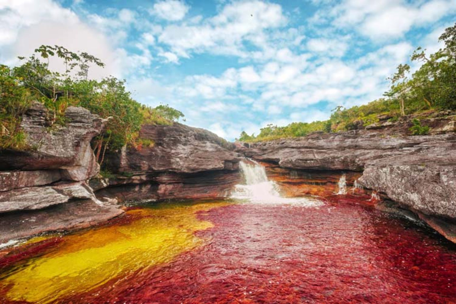 2015-12-caño-cristales1